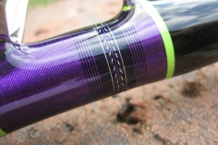 Salty Dawg Custom Fishing Rods
